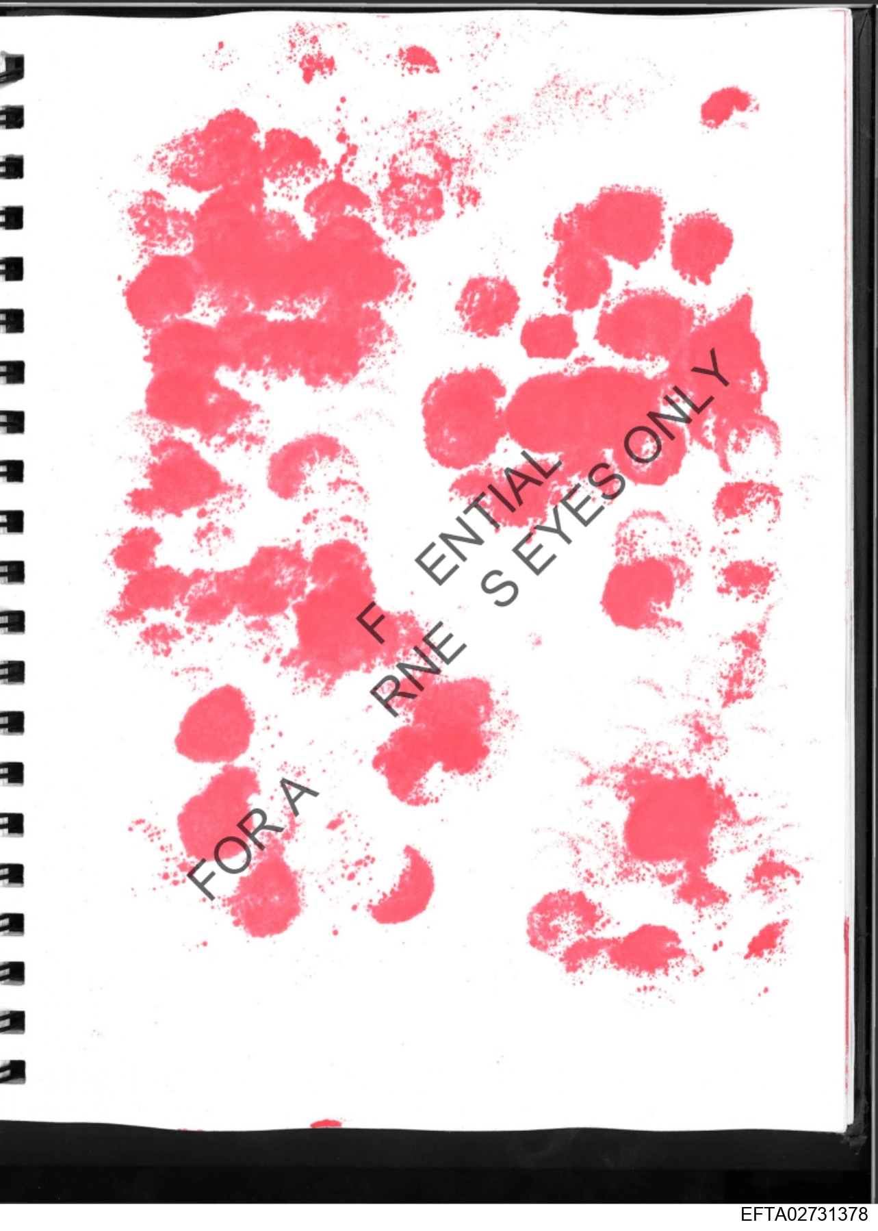 Epstein Files: More Diary Pics