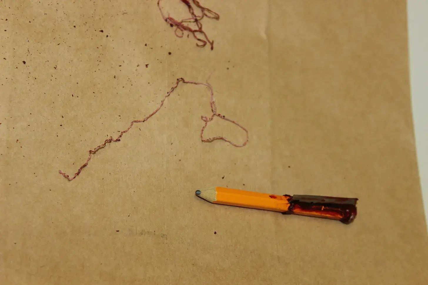 Israel Keyes & A New Leaked Pic