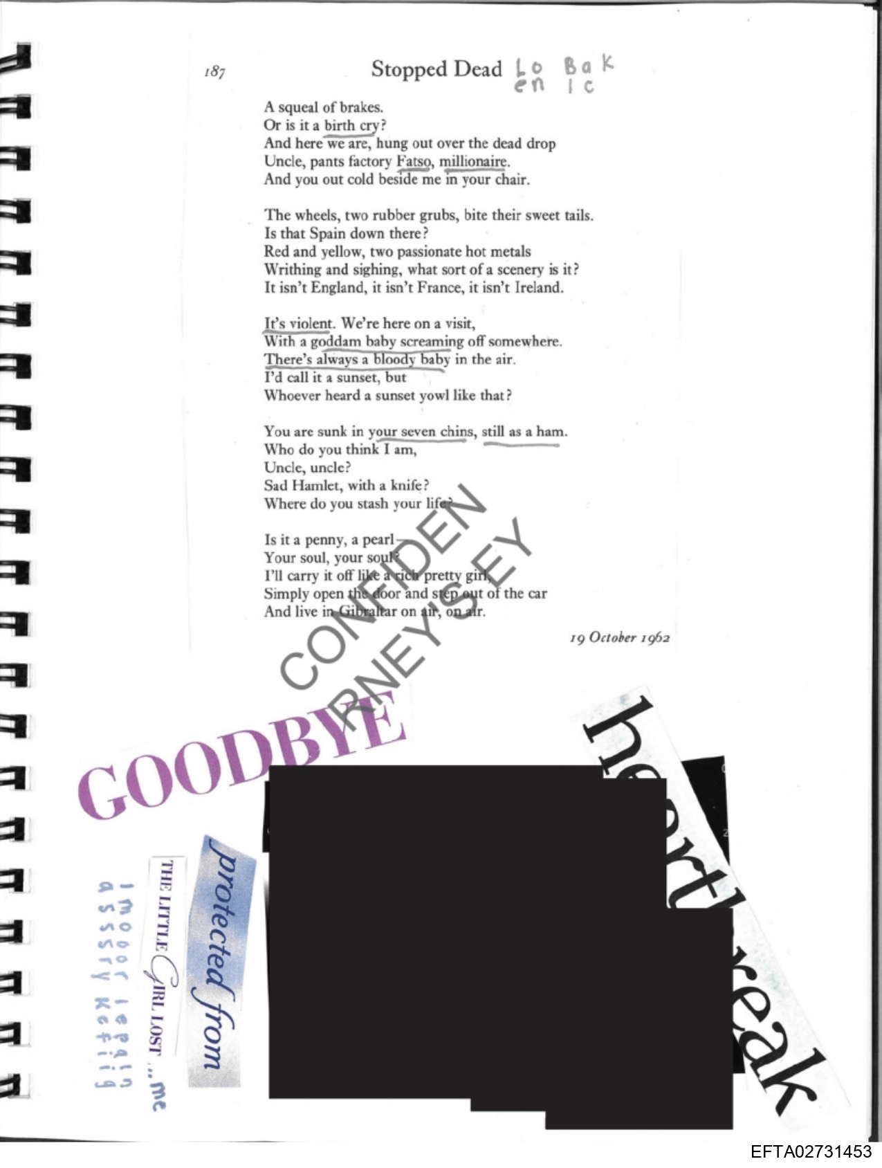 Epstein Files: Diary 3