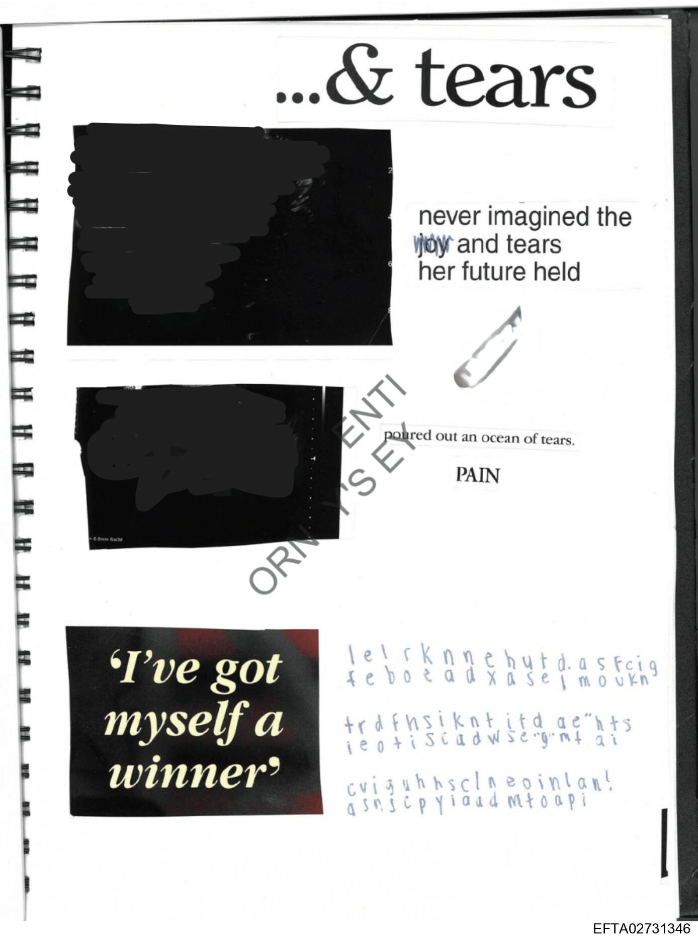 Epstein Files: Diary Of A Victim