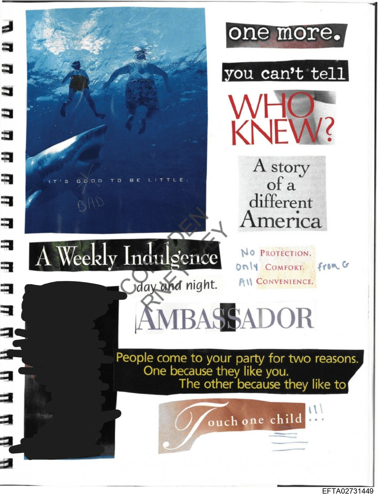 Epstein Files: Diary 3