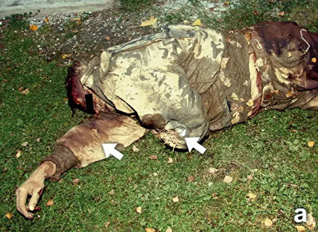 Deer Don't Accept Checks