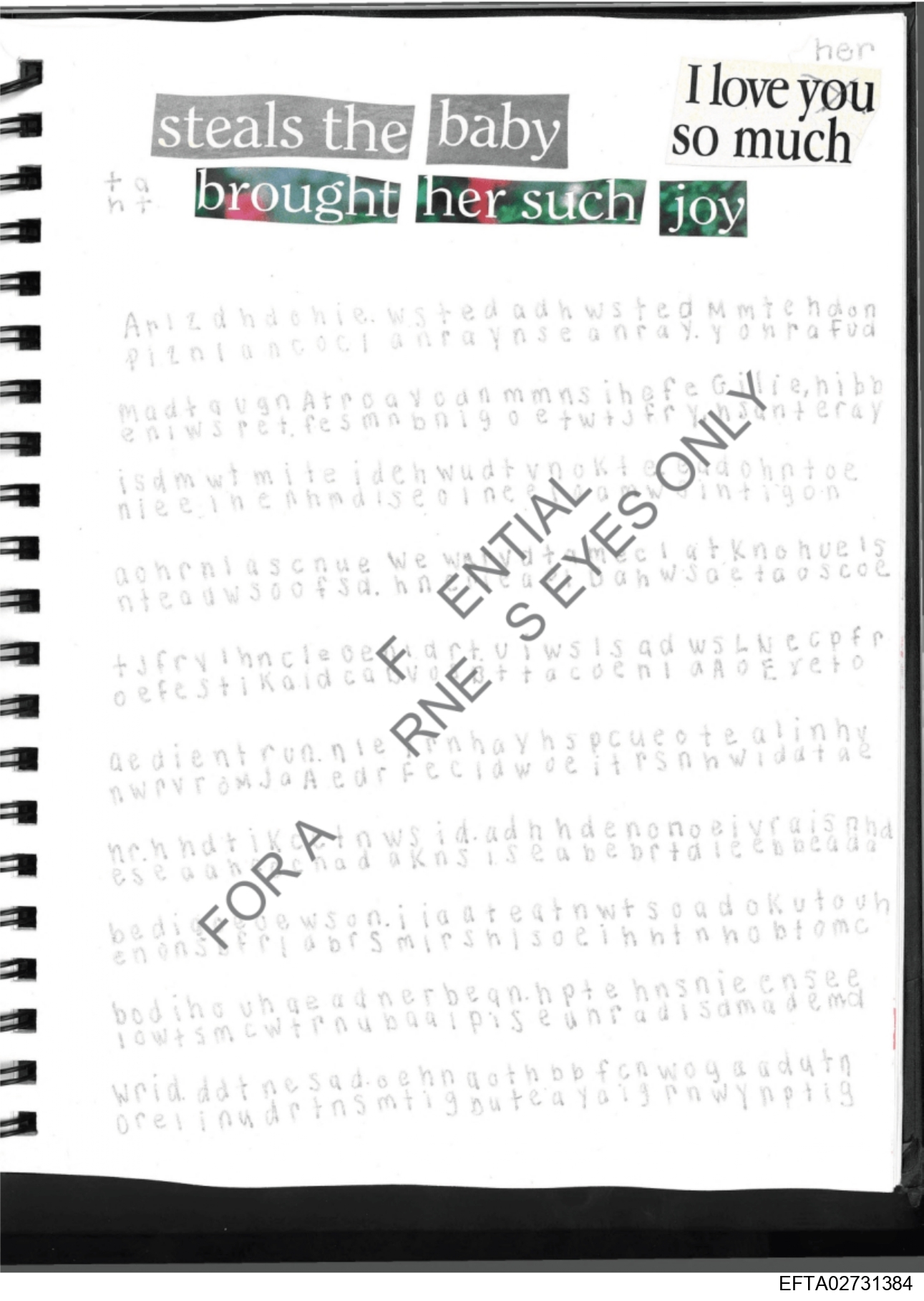 Epstein Files: More Diary Pics