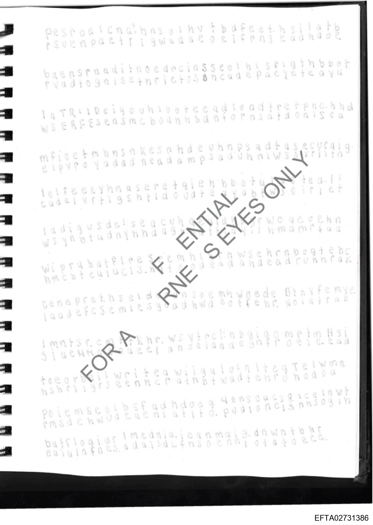 Epstein Files: More Diary Pics
