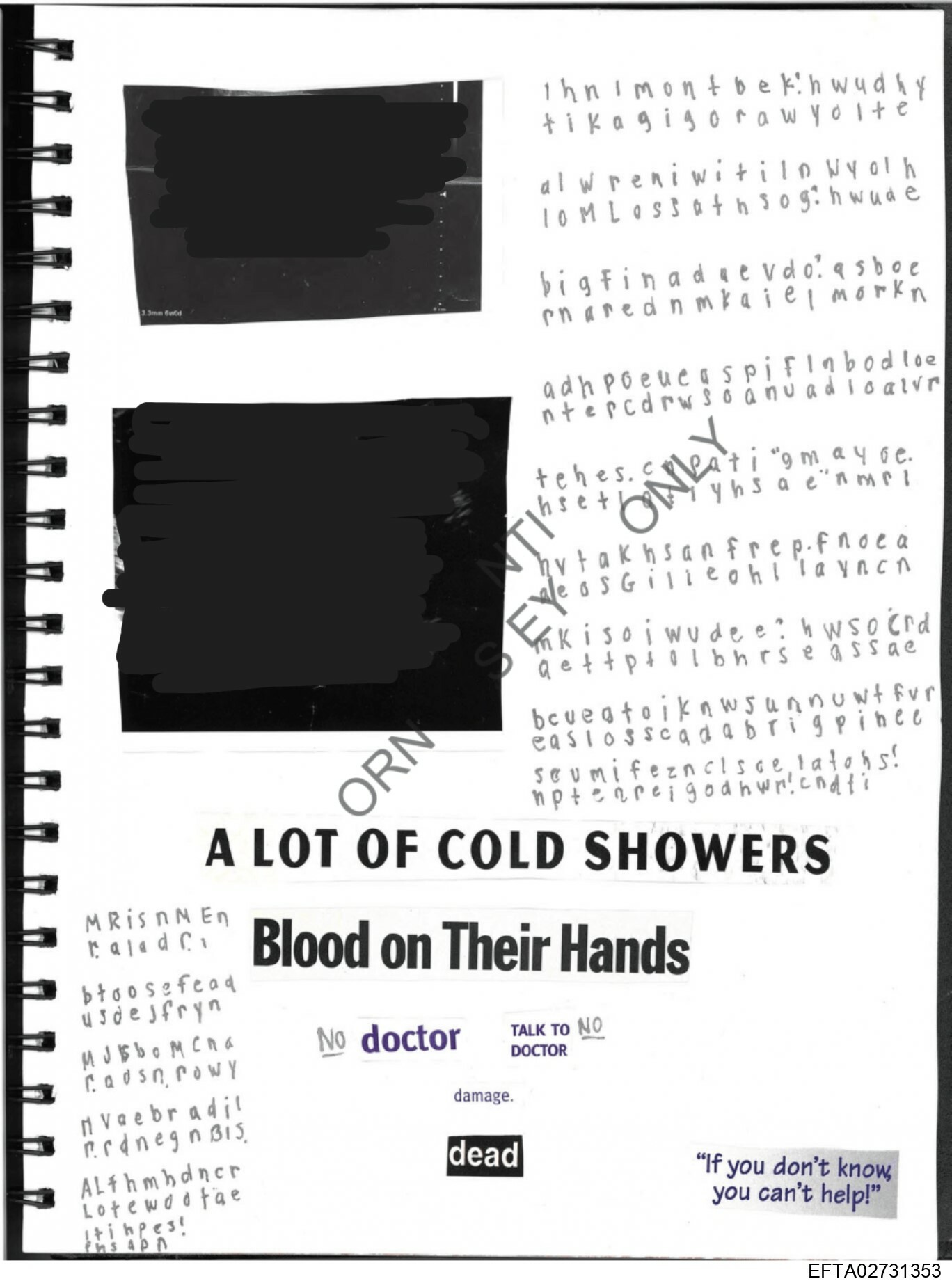 Epstein Files: Diary Of A Victim