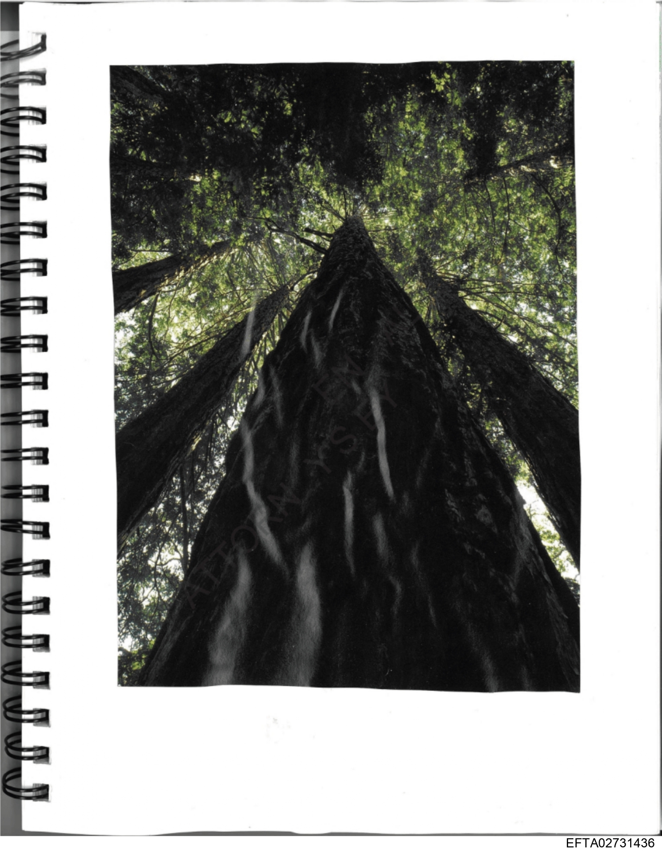 Epstein Files: Diary 3