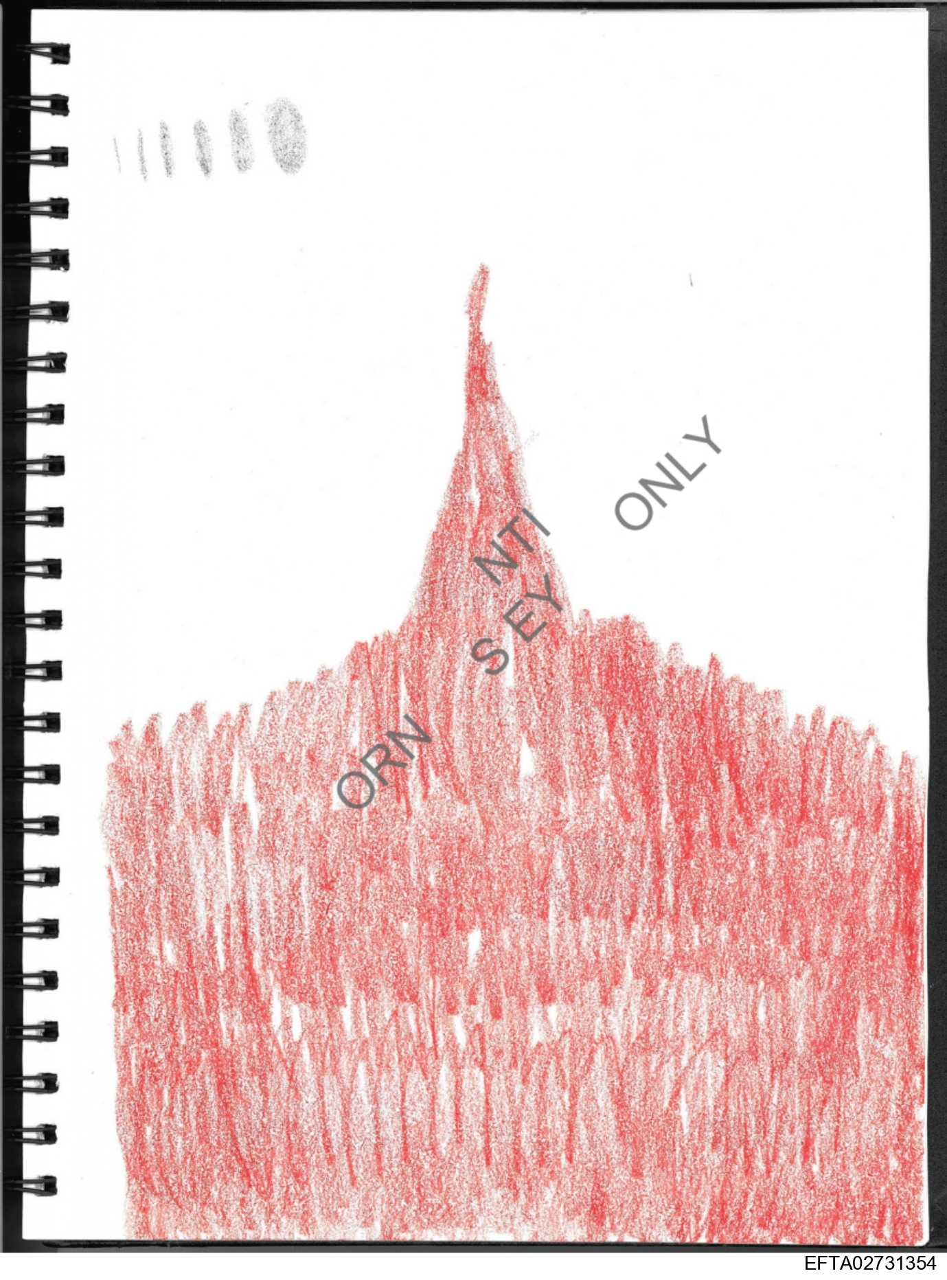 Epstein Files: Diary Of A Victim