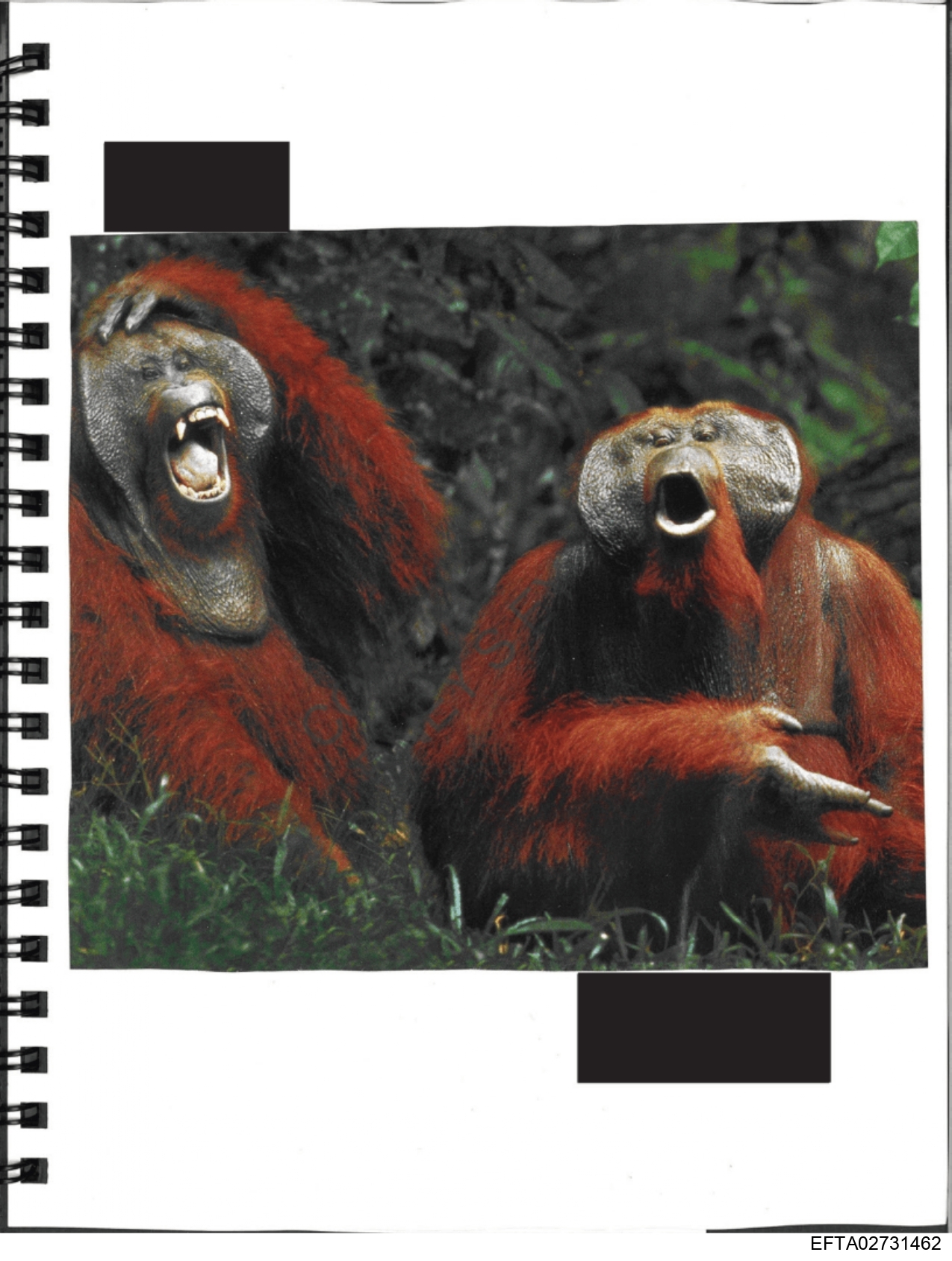 Epstein Files: Diary 3