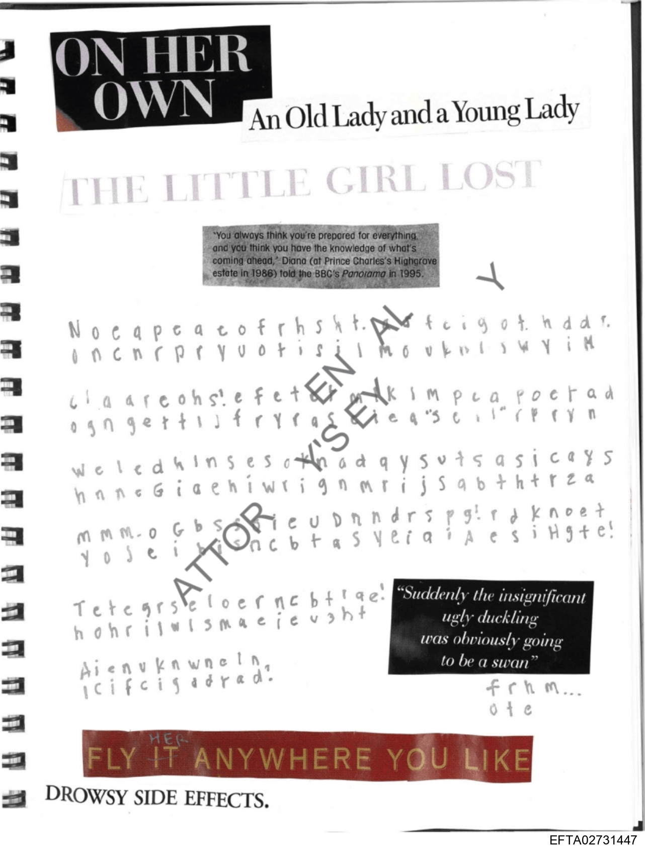 Epstein Files: Diary 3