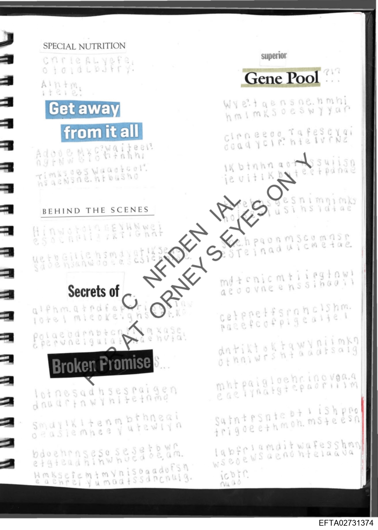 Epstein Files: More Diary Pics