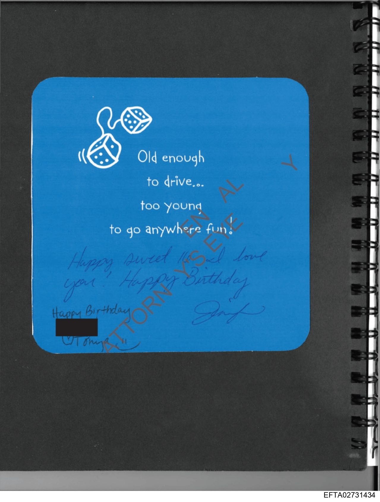 Epstein Files: Diary 3