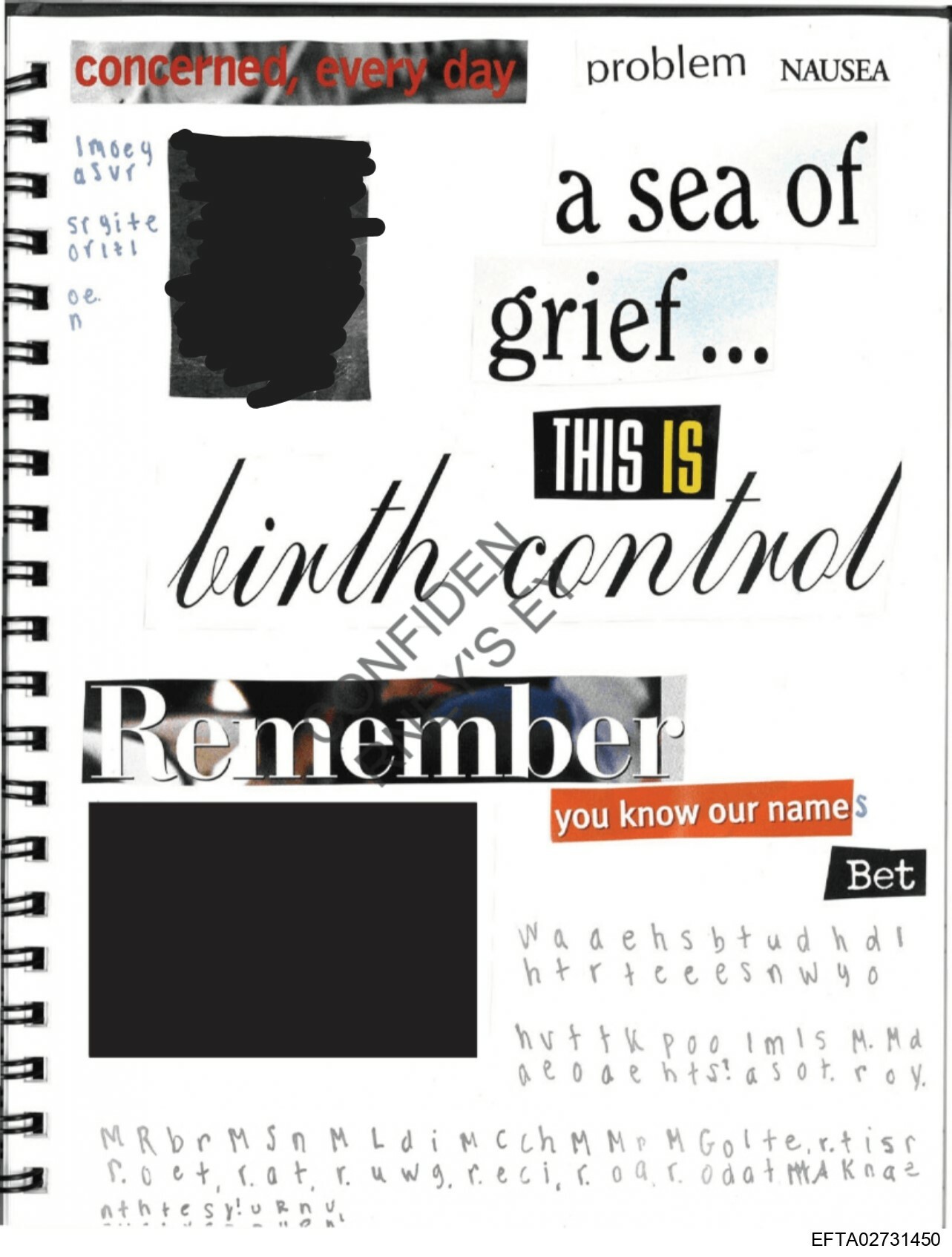 Epstein Files: Diary 3