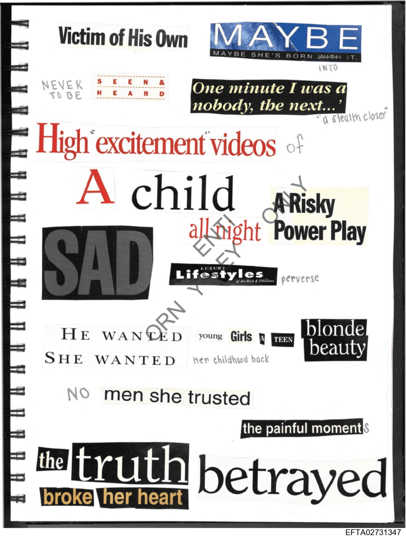 Epstein Files: Diary Of A Victim