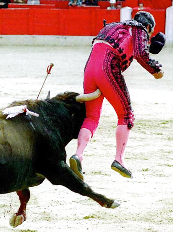 bullfighter gets gored