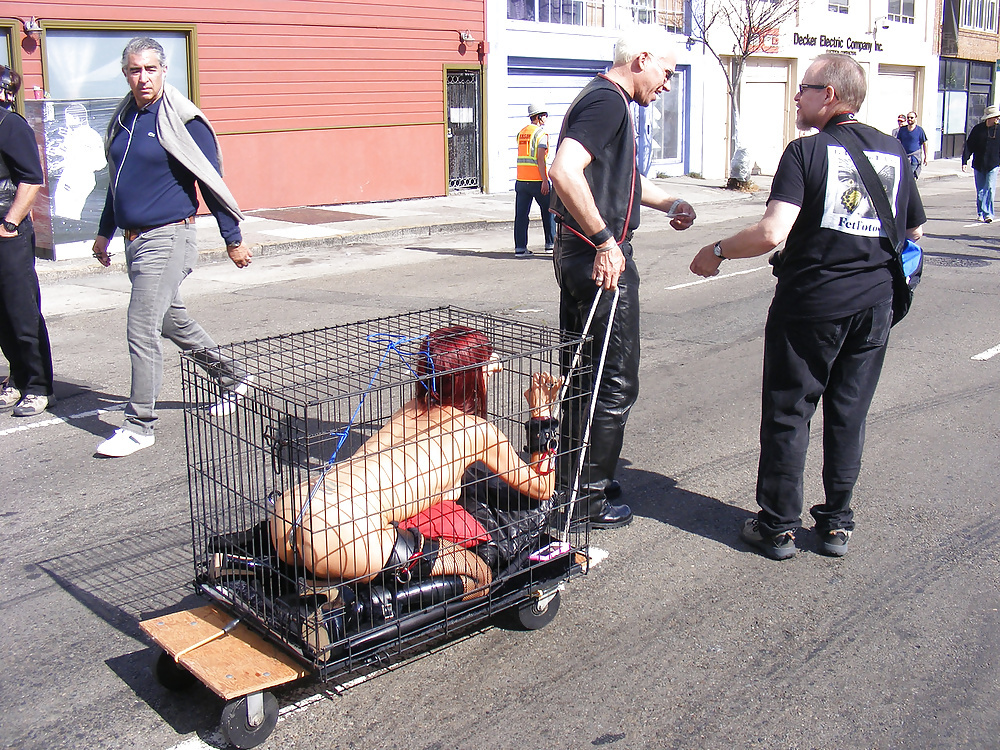 taking a walk with your pet