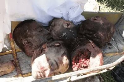 An Old Fashion Dumping