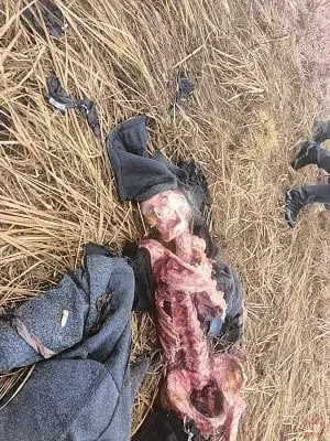 An Old Fashion Dumping