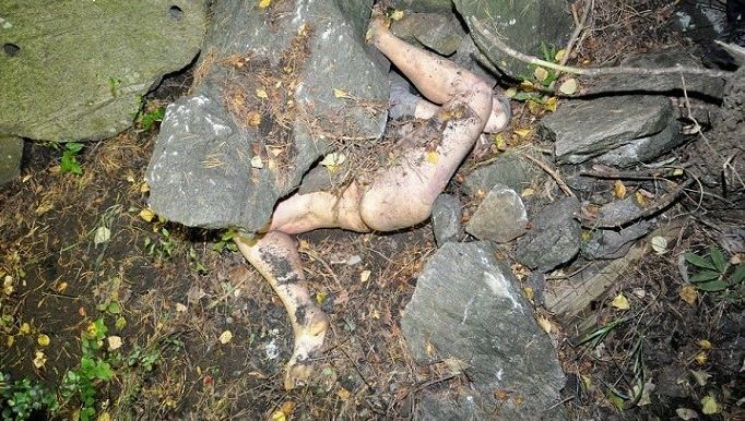 dead body found hidden in the woods