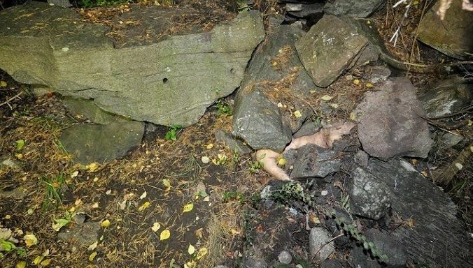 dead body found hidden in the woods