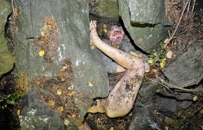 dead body found hidden in the woods