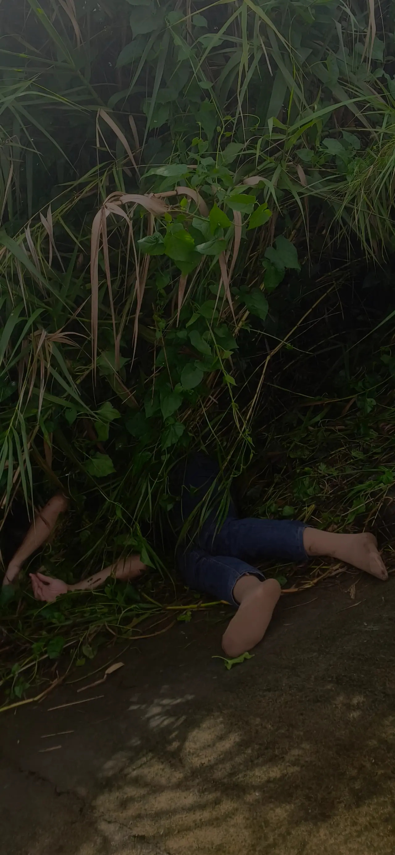 Thailand-Transwoman Sales Lady Killed and Dumped