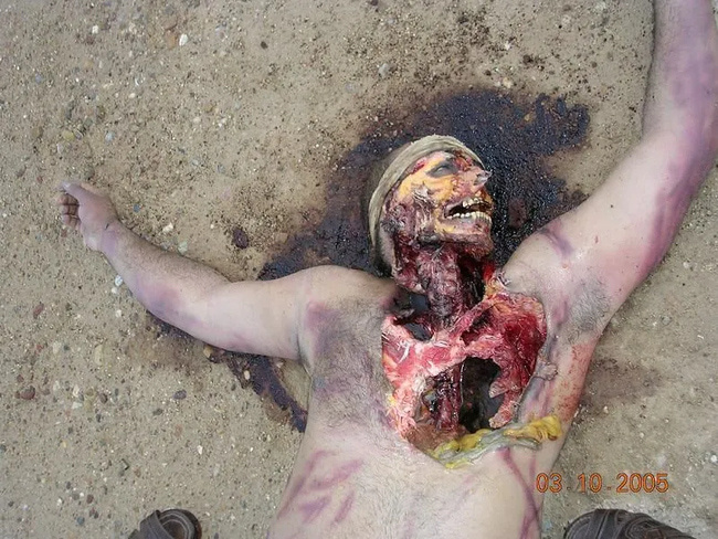 Gnarly Gallery