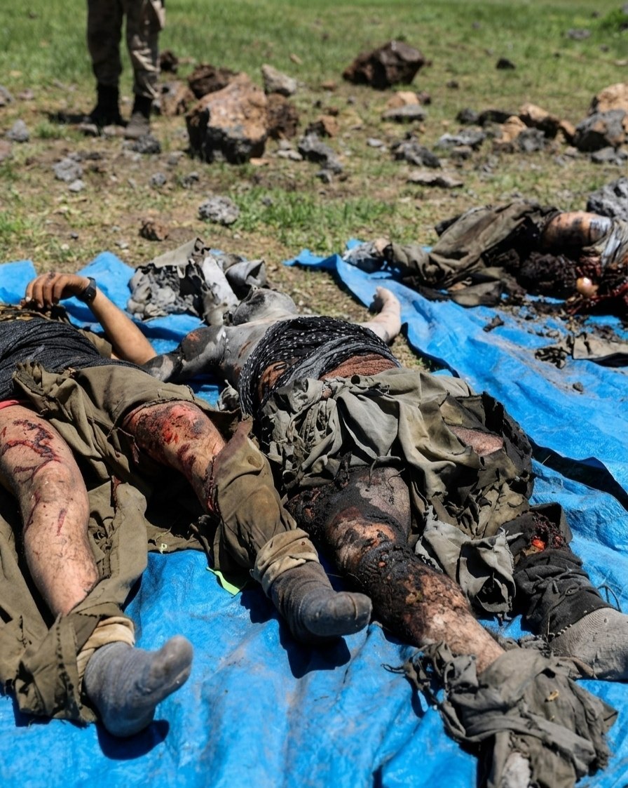 dead terrorist bodies in Syria