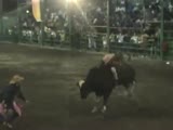 Woman Riding A Bull Unconscious