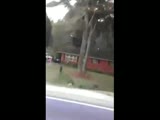 Guy drives through front window of house