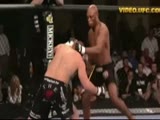 Some Nice MMA Knockouts