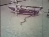 Crazy Man Wrestles A Giant Anaconda Under The Water