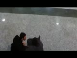 Woman deals with 2 guys harassing her