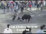 Bulls Against People