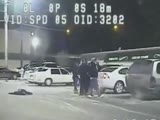 Police Officer Slams Woman's Head Into Car and Punches Her in the Face