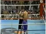 Ref Gets Knock Out