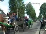 Horse Carriages Crash