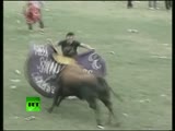 Angry Bulls vs Drunk Fighters