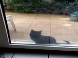 Hey human ! Let me in !