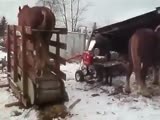 Literal Horse Power!