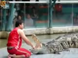Crocs loving the taste of human flesh