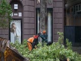 City workers nearly crush woman