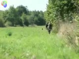 wildboar attacks hunter who shoots back