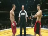 Quickest fight in MMA history