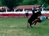 Man Jumps Inside A Ring With A Bull And Gets Knocked Out