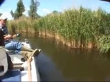 Man Catches Big Fish