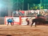 A Bull Gets In One Good Head Stomp!