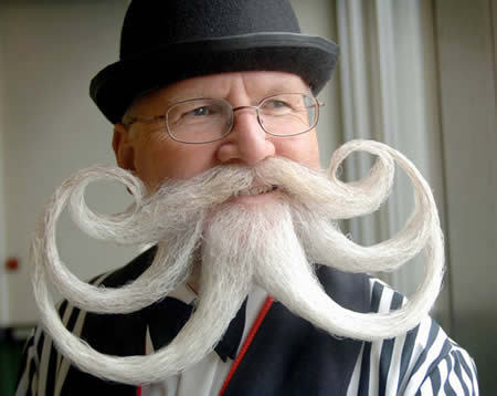 15 Most Bizarre Beards and Mustaches