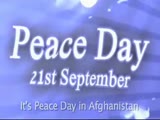 Dove Dies On Peace Day In Afganistan!
