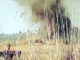 Short but amazing footage of a soldier walking on a IED.