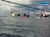 China ship sinking fishing vessel rammed Vietnam